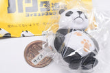 Panda Evolution Figure Collection [1.Nisokuhoko o hajimeta Panda]