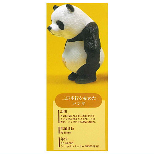 Panda Evolution Figure Collection [1.Nisokuhoko o hajimeta Panda]