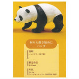 Panda Evolution Figure Collection [4.Naniyara ugokihajimeta Panda]