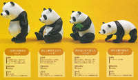 Panda Evolution Figure Collection [All 4 type set (Full Complete)]