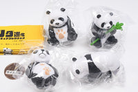 Panda Evolution Figure Collection [All 4 type set (Full Complete)]