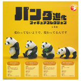 Panda Evolution Figure Collection [All 4 type set (Full Complete)]