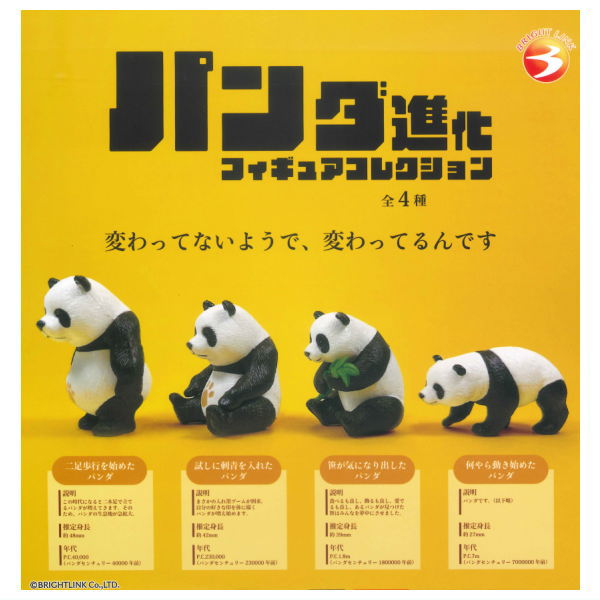 Panda Evolution Figure Collection [All 4 type set (Full Complete)]