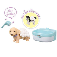 Pet Salon DX [2.Shampoo]