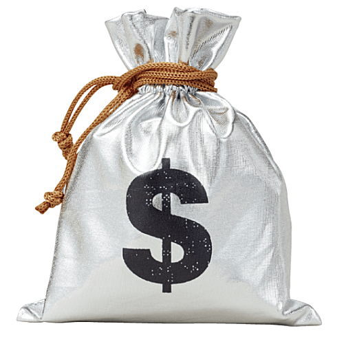 Bank Bag [6.$ Bag (Silver)]