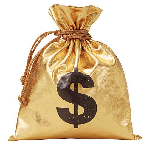Bank Bag [7.$ Bag (Gold)]