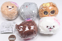Gal Pome [All 5 type set(Full Complete)]