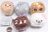 Gal Pome [All 5 type set(Full Complete)]