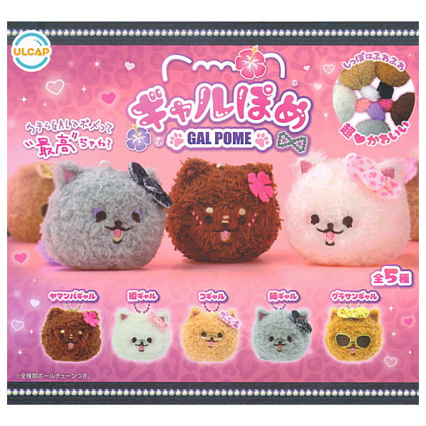 Gal Pome [All 5 type set(Full Complete)]