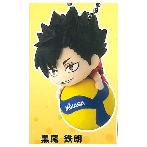 Haikyu!! x MIKASA Bura-n! Collaboration Swing [4.Tetsuro Kuroo]