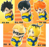 Haikyu!! x MIKASA Bura-n! Collaboration Swing [All 5 type set(Full Complete)]