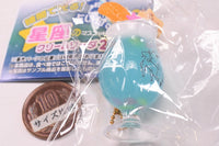 Glow in the dark! Horoscope included! Constellation cream soda mascot Part.2 [10.Capricorn]