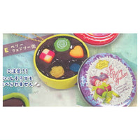 Super real! Canned Cookie & Gummy Mascot [5.Berry Fairy Can]