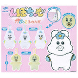 Npochamu Capkko Friends [All 5 type set (Full Complete)]