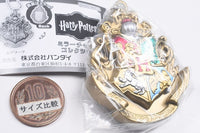 Harry Potter Mirror Charm Collection [4.Hogwarts]