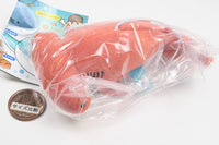 Artuniv Techni Color Kota Shark Plush Toy [3.Hammerhead shark]