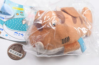 Artuniv Techni Color Kota Shark Plush Toy [5.Japanese bullhead shark]