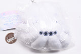 Baby Jumping Spider [4.Snow White]