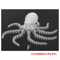 Movable Octopus [6.F (�¦Color is random.)]
