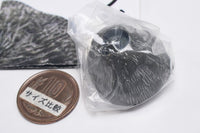 Nature Techni colour MONO PLUS Barnacle Magnet & Ball Chain [4.Tetraclita japonica]