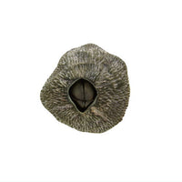 Nature Techni colour MONO PLUS Barnacle Magnet & Ball Chain [4.Tetraclita japonica]