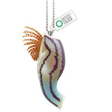 Nature Techni colour MONO PLUS Barnacle Magnet & Ball Chain [7.Conchoderma virgatum]