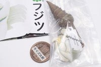 Nature Techni colour MONO PLUS Barnacle Magnet & Ball Chain [8.Scalpellomorpha ]