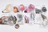 Nature Techni colour MONO PLUS Barnacle Magnet & Ball Chain [All 8 type set(Full Complete)]