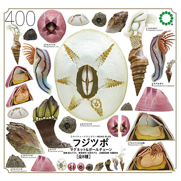 Nature Techni colour MONO PLUS Barnacle Magnet & Ball Chain [All 8 type set(Full Complete)]