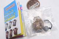 Kongari Animals [4.Hamster B]