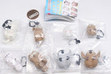 Kongari Animals [All 8 type set(Full Complete)]