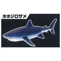The Shark Gathering! Sharks [1.Great White Shark]