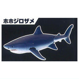 The Shark Gathering! Sharks [1.Great White Shark]