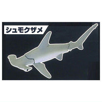 The Shark Gathering! Sharks [2.Hammerhead Shark]