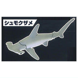 The Shark Gathering! Sharks [2.Hammerhead Shark]