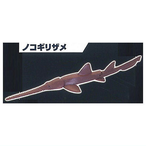 The Shark Gathering! Sharks [3.Longnose sawshark]