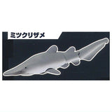 The Shark Gathering! Sharks [4.Goblin shark]