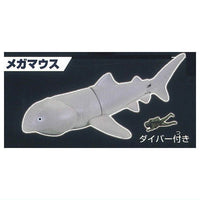 The Shark Gathering! Sharks [6.Megamouth Shark]