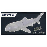 The Shark Gathering! Sharks [6.Megamouth Shark]