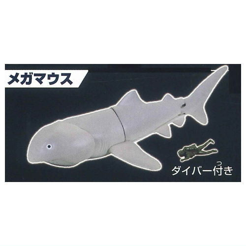 The Shark Gathering! Sharks [6.Megamouth Shark]