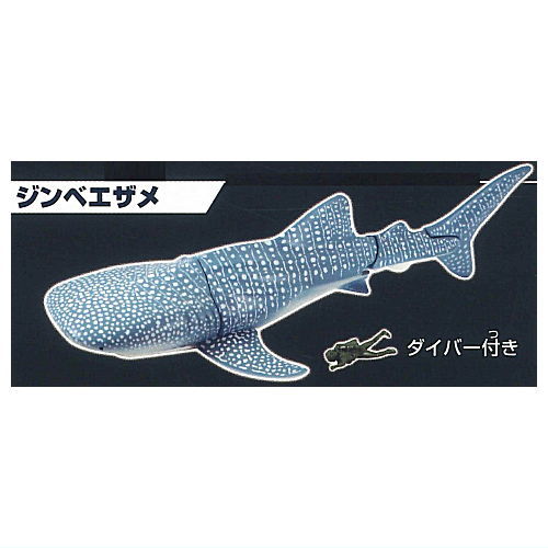 The Shark Gathering! Sharks [7.Whale Shark]
