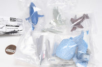 The Shark Gathering! Sharks [Assorted 5 type set (1.Great White Shark/2.Hammerhead Shark/3.Longnose sawshark/4.Goblin shark/7.Whale Shark)]