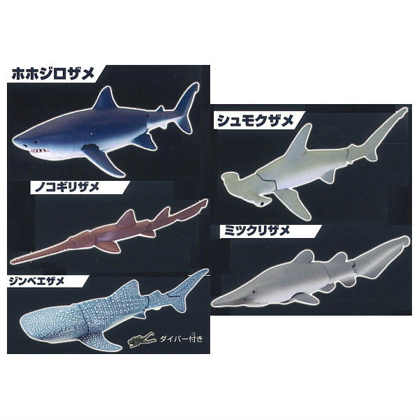 The Shark Gathering! Sharks [Assorted 5 type set (1.Great White Shark/2.Hammerhead Shark/3.Longnose sawshark/4.Goblin shark/7.Whale Shark)]
