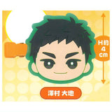 Haikyu!! Mini Colle! Bangs Clip vol.2 [1.Daichi Sawamura]