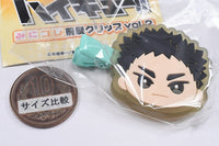 Haikyu!! Mini Colle! Bangs Clip vol.2 [5.Hajime Iwaizumi]