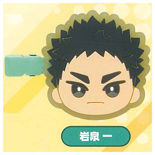 Haikyu!! Mini Colle! Bangs Clip vol.2 [5.Hajime Iwaizumi]
