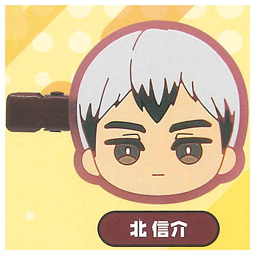 Haikyu!! Mini Colle! Bangs Clip vol.2 [8.Shinsuke Kita]