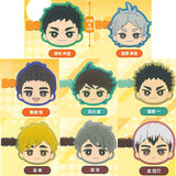 Haikyu!! Mini Colle! Bangs Clip vol.2 [All 8 type set(Full Complete)]