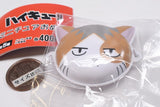 Haikyu!! Miniature Omen [5.Kenmaneko]