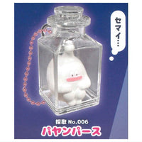 Shinryakushippai Dokonandesu Bottled keychain Part.2 [2.Payampasu]